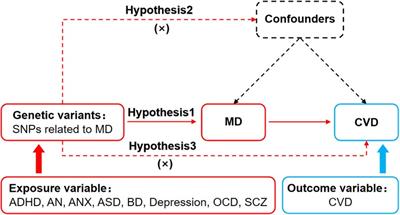 A Mendelian randomization study of the effect of mental disorders on cardiovascular disease